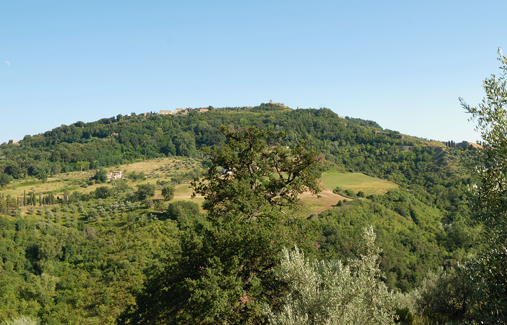 Dintorni
