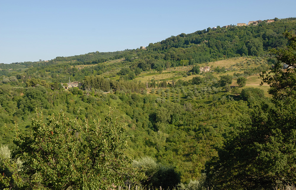 Dintorni